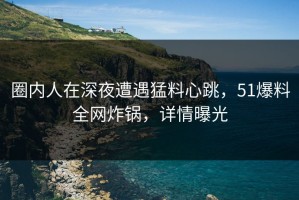 圈内人在深夜遭遇猛料心跳，51爆料全网炸锅，详情曝光