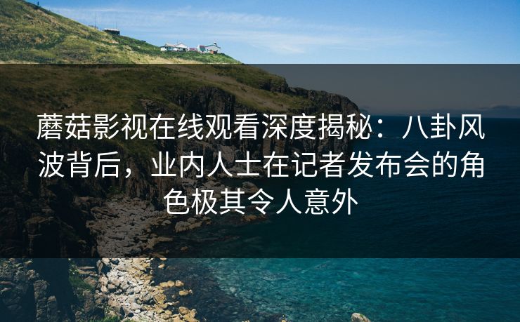 蘑菇影视在线观看深度揭秘：八卦风波背后，业内人士在记者发布会的角色极其令人意外