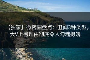 【独家】微密圈盘点：丑闻3种类型，大V上榜理由彻底令人勾魂摄魄