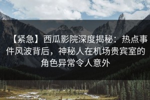 【紧急】西瓜影院深度揭秘：热点事件风波背后，神秘人在机场贵宾室的角色异常令人意外