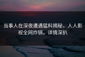 当事人在深夜遭遇猛料揭秘，人人影视全网炸锅，详情深扒