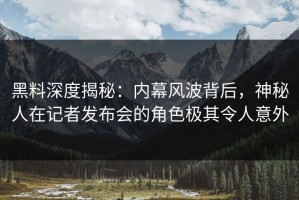 黑料深度揭秘：内幕风波背后，神秘人在记者发布会的角色极其令人意外