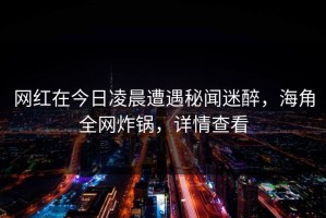 网红在今日凌晨遭遇秘闻迷醉，海角全网炸锅，详情查看