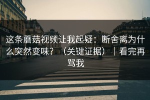 这条蘑菇视频让我起疑：断舍离为什么突然变味？（关键证据）｜看完再骂我