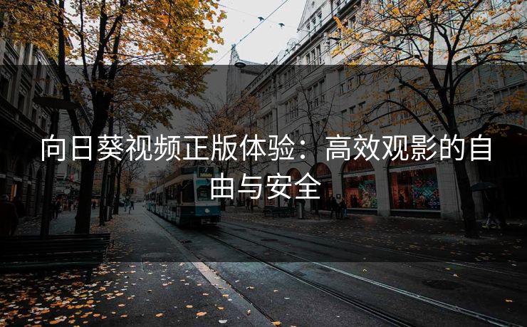 向日葵视频正版体验：高效观影的自由与安全