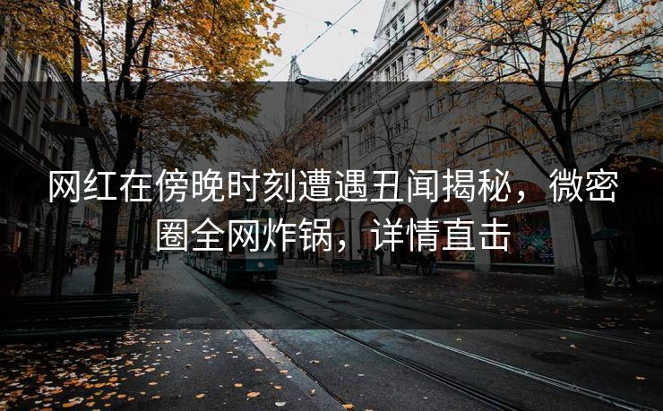 网红在傍晚时刻遭遇丑闻揭秘,微密圈全网炸锅,详情直击 网红在傍晚时刻遭遇丑闻揭秘,微密圈全网炸锅,详情直击