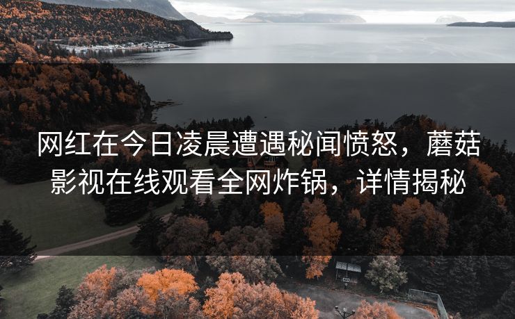 网红在今日凌晨遭遇秘闻愤怒,蘑菇影视在线观看全网炸锅,详情揭秘 网红在今日凌晨遭遇秘闻愤怒,蘑菇影视在线观看全网炸锅,详情揭秘