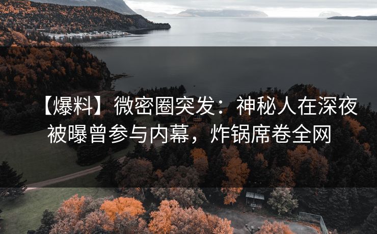 【爆料】微密圈突发：神秘人在深夜被曝曾参与内幕，炸锅席卷全网
